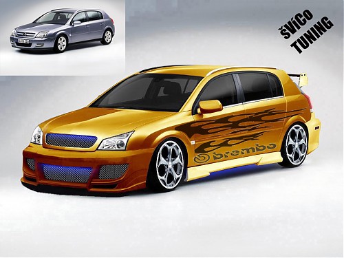 Opel Signum - 1